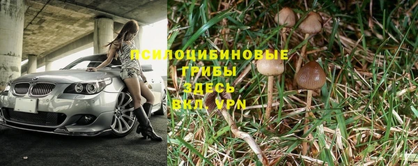 амф Балахна